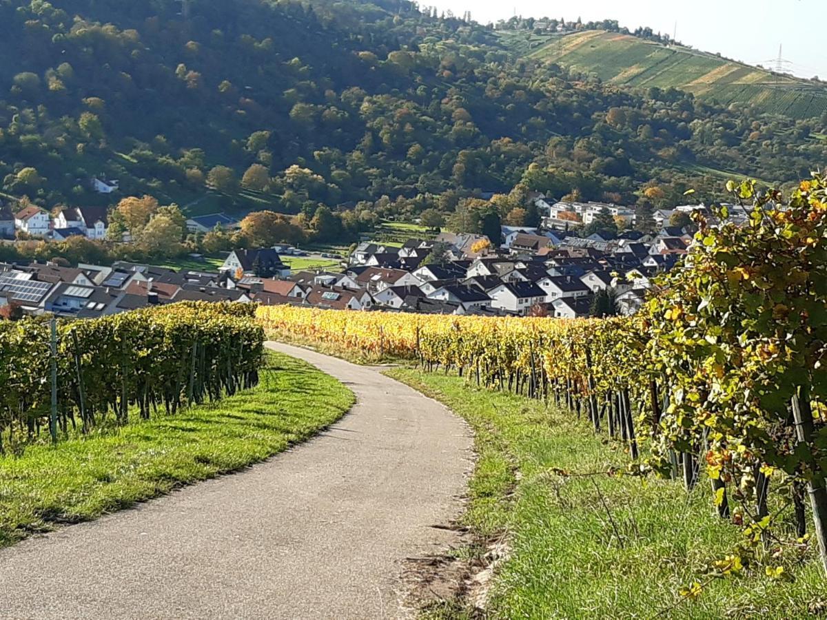 Remstal Hotel Weinstadt Buitenkant foto